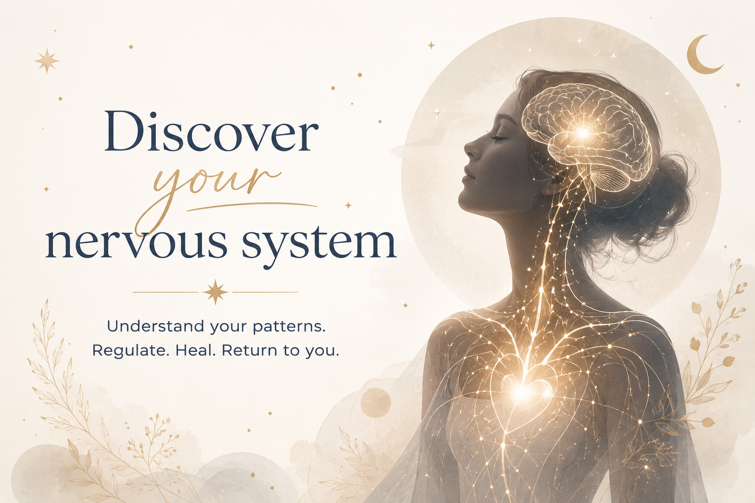 Nervous system illustration