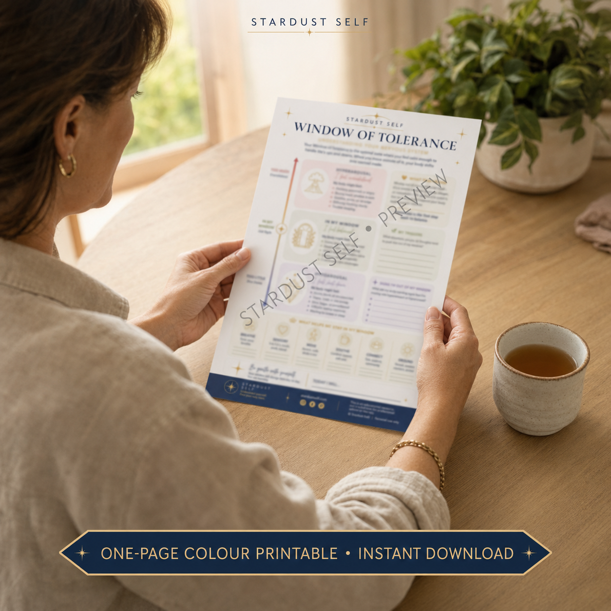 product wot Window of Tolerance Worksheet - Colour Printable - Image 1