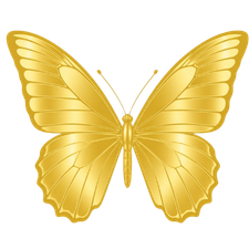 Gold butterfly